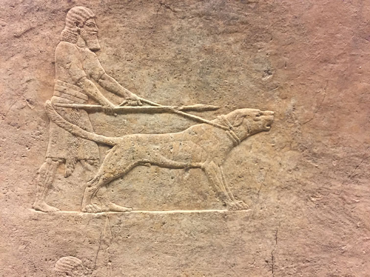 bas-relief-assyrien-chien